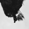 Profilbild von Trenix