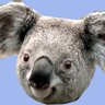 Profilbild von Krisu