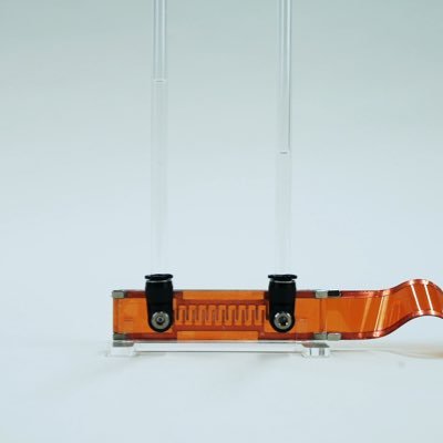 tm_fantasista's profile picture