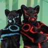 Фото профиля The Cyber Twins MK2