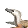 ted velociraptor 的头像