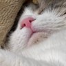 あっきーか profil fotoğrafı