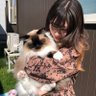 ぴぬロックフェスティバル2026 profil fotoğrafı