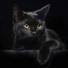 Ewa_Soroka profil fotoğrafı