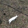 MidwestDeerHunter 的头像