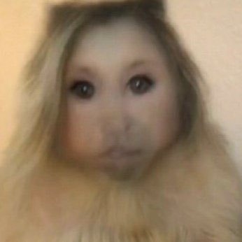 welcho's profile picture