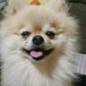 Profilbild von にーな