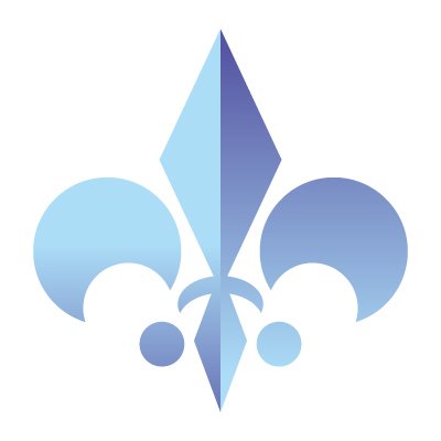 wsblau_info's profile picture