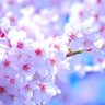 Фото профиля な