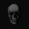 Necropoliten's profile picture