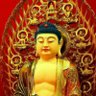 胡军's profile picture