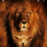 Фото профиля Charles chima