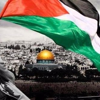 khalid31452's profile picture
