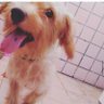 AKIRA profil fotoğrafı