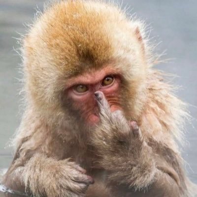 FatminJama's profile picture