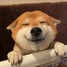 ば！！！「スキン紹介の姿」 profil fotoğrafı