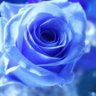 Profilbild von J