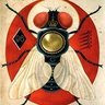 Фото профиля Elzévir Ze Fly