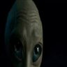 The Alien 的头像