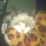 triple six's profile picture