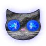 GneissKitty 的头像