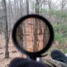 Rob's profile picture