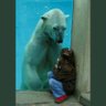 Paul R Bear's profile picture