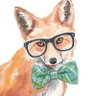Red Fox in Diapers 的头像
