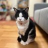 シンジ's profile picture