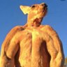 Profilbild von phil