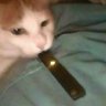 Capriisun's profile picture