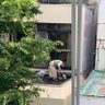 ニロ profil fotoğrafı