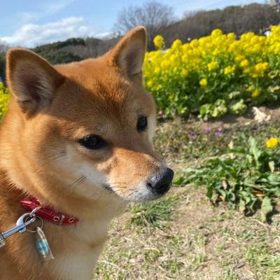 LovePie95705293's profile picture