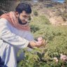 مسعود الصبحي 的头像