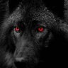 BadLobo's profile picture