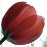 Quinn Piper's profile picture