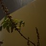 Фото профиля إبراهيم