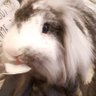 Profilbild von Omar Supial