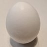 Just a poor white egg. profil fotoğrafı