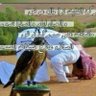 الشوق 的头像