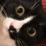 Jsizzle's profile picture