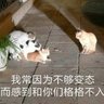 推推更健康 profil fotoğrafı