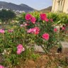 Abduallah Alghamdi 的头像