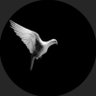 ياسـ ر السـ الم's profile picture