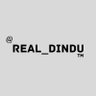 Real_dinduπ² 的头像