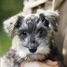 Profilbild von Mel154_