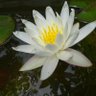 後藤 profil fotoğrafı