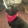 FREEDOO's profile picture