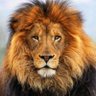 Profilbild von HAK