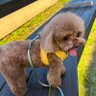 nicole's profile picture